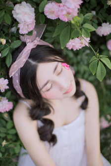 尼姑在线观看免费播放电视剧
